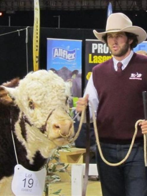 Middlemarch Hereford stud breeder Will Gibson, along with his bull Foulden Hill McCoy, placed...