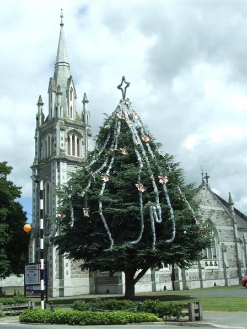 Milton's living Christmas tree in the grounds of the Tokomairiro Presbyterian Church was...
