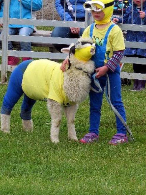 Minions Annika Buhre (3), of Edendale, and Snowy the lamb won the pets and owners fancy dress...
