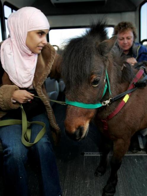 Mona Ramouni rides a SMART bus to her job with her guide horse, Cali, in Lincoln Park, Michigan....