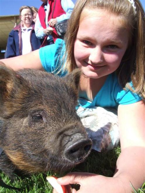 Moriah Tyrrell (10) took Fraggle the pig to the pet day at the North Otago A and P showgrounds...