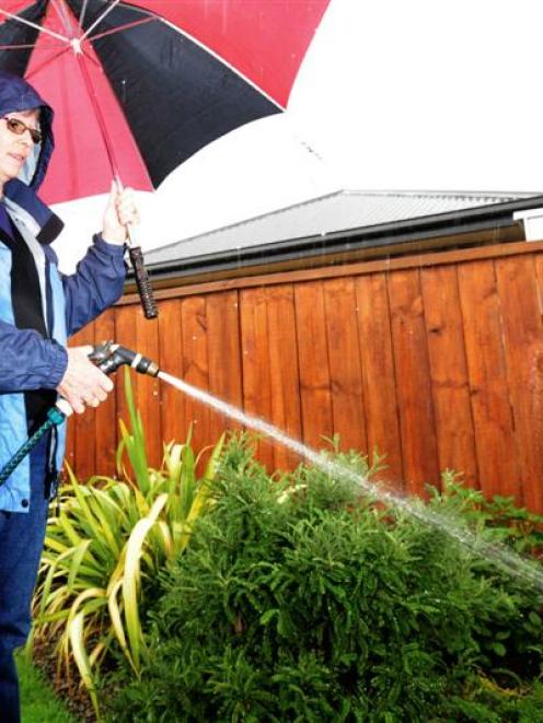 Mosgiel resident Liz McDonald waters her garden yesterday, as the rain comes down. Photo by Craig...