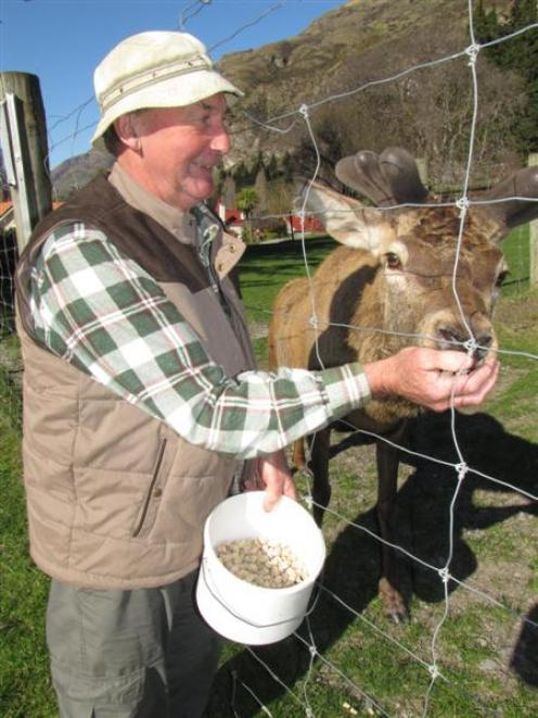 Mr Westaway feeds one of the animals which captivate 130,000 visitors every year