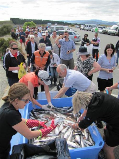 Mt Cook Alpine Salmon general manager Janine Tulloch (wearing red gloves) helps fill the bags and...