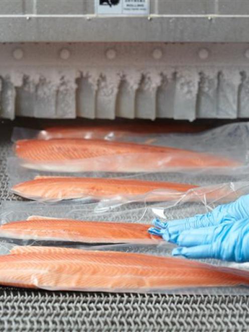 Mt Cook Alpine Salmon's product is prepared and packed. PHOTO: MT COOK ALPINE SALMON