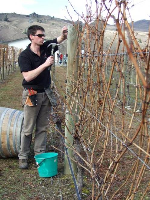 Murray Petrie (McArthur Ridge) competes in the Markhams Central Otago Young Viticulturist of the...