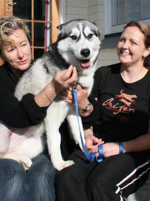 Nala the husky with two of her saviours, Clutha District  Council dog ranger Karenne Walker (left...