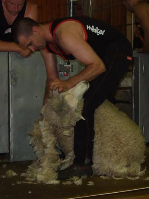 Nathan Stratford, of Invercargill, showed winning form in the Otago open shearing section in...