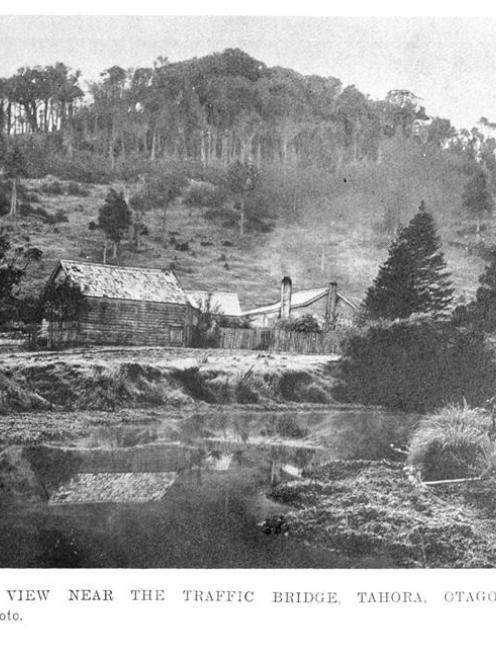 Near the traffic bridge, Tahora, Catlins district. - Otago Witness, 24.6.1908.