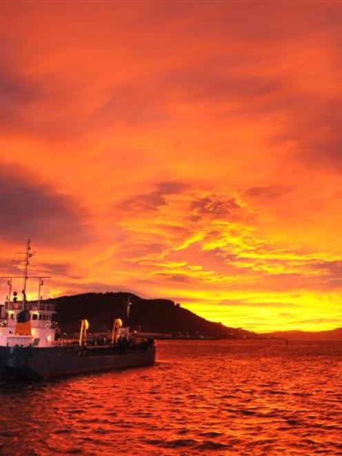 ODT Otago Harbour file photo.
