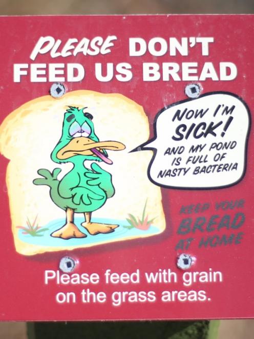 New signs erected at the Oamaru Public Gardens ask the public not to feed bread to the ducks.