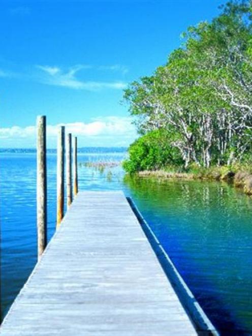 Noosa Everglades are worth a tour