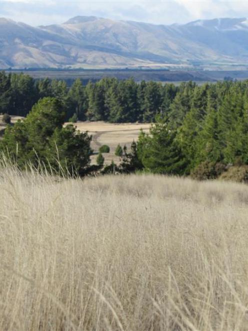 Northlake, near Wanaka. Photo by ODT.