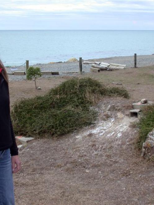 Oamaru Blue Penguin Colony marine biologist Philippa Agnew is about to start a research project...