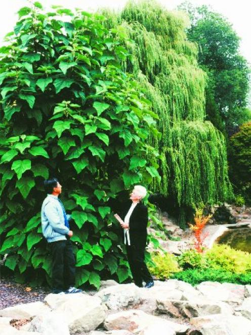 Bill Lee and Yvonne Cox beside the elephant tree. Photo by Diana Madgin.