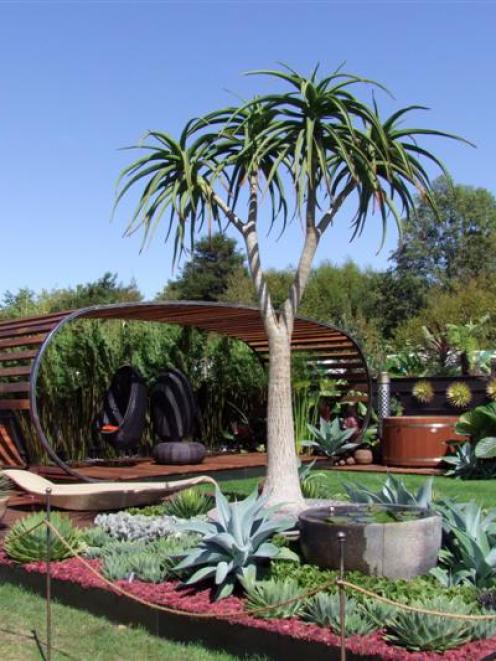 Off the Wall won a People's Choice award at last year's Ellerslie International Flower Show....