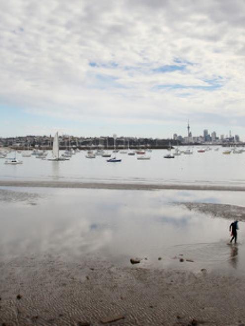 Okahu Bay. Photo NZ Herald