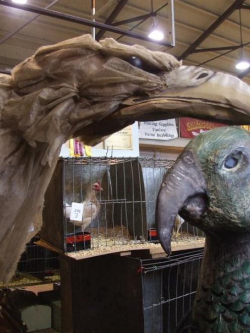 Oliver Briggs (left) and his sister Julia Briggs dress as birds to attend the Oamaru Poultry...