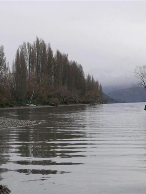On Thursday, Lake Wanaka had filled slightly since Monday, when the willow tree (centre) was high...