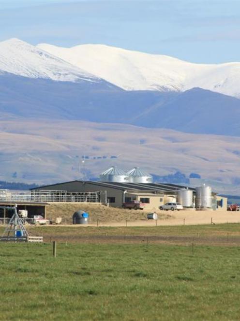 One of three dairy sheds on the 844ha  dairy property in North Otago owned by Whitestone Pastures...