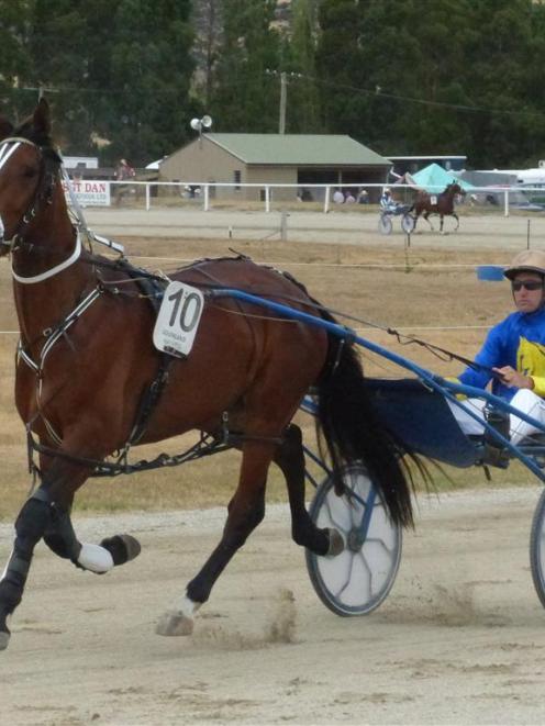 Onedin Onyx is one of two runners for Roxburgh trainers Geoff and Jude Knight in race 9 at...