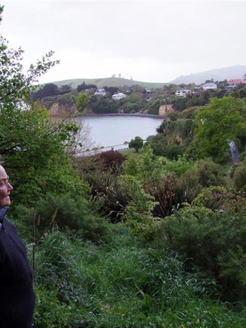 Openings in the Caradoc-Davies' arboretum have been positioned so the views can be appreciated....