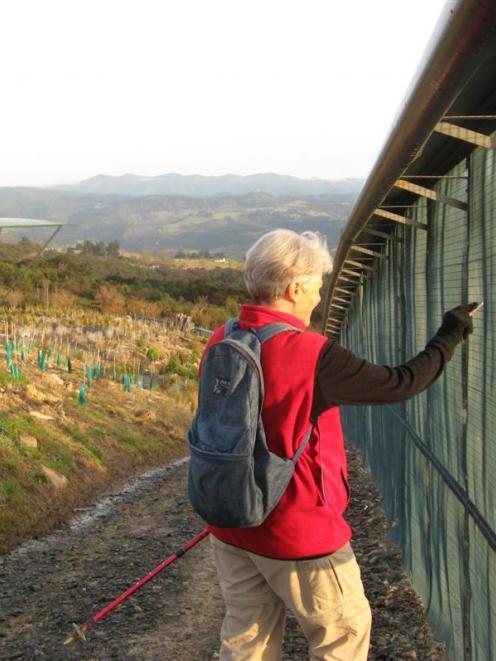 Orokonui Ecosanctuary volunteer Hilary Phillips checks the predator fence near the visitor centre...