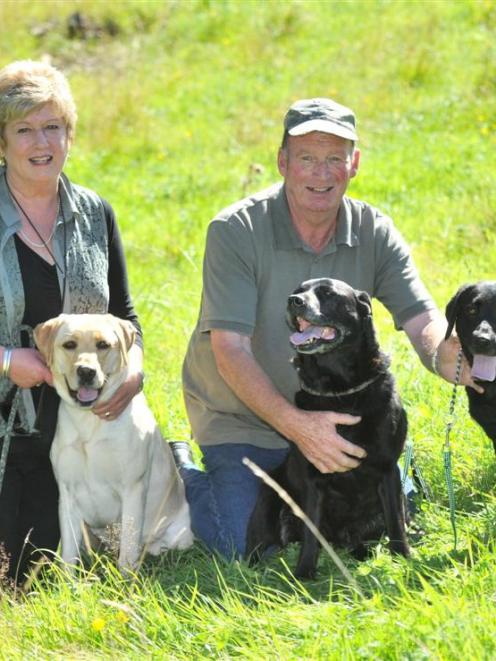 Otago Gundog Club members Aven and Allan Hamilton, of Abbotsford, with their Labradors (from left...