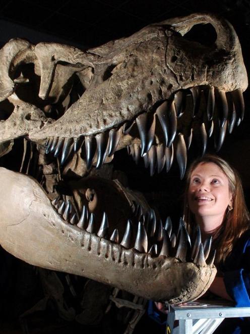 Otago Museum natural science research and interpretation co-ordinator Lucy Rowe takes in the...