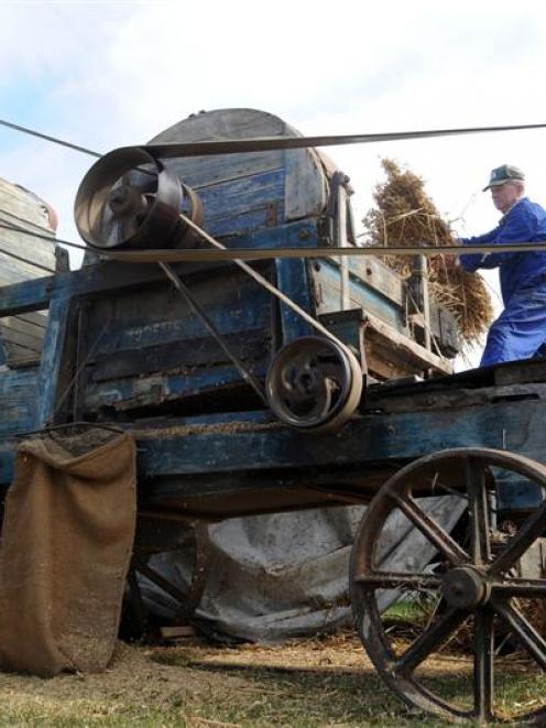 Otago Vintage Machinery Club member George Gamble feeds the chaff cutter at Sunday's Go Otago day...
