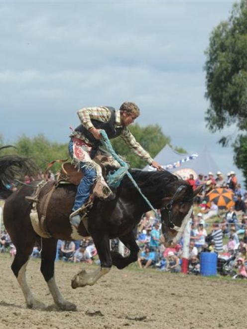 Outram rodeo on Waitangi Day. Photo by ODT.