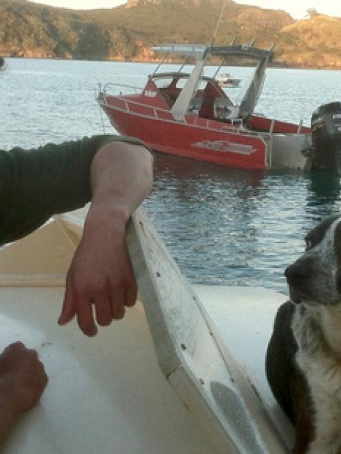 Owner Ben Ngawaka says Tiny is 'definitely' a sea dog.