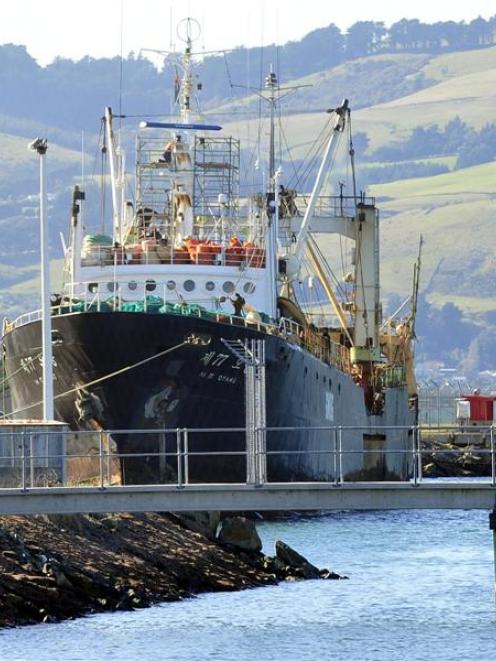 Oyang 77 at the Leith St wharf in Dunedin this week. Photo by Craig Baxter.