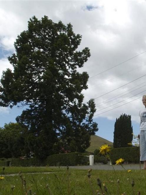 Palmerston resident Hilary Gray stands outside St Mary's Anglican Church grounds.  She wants the...