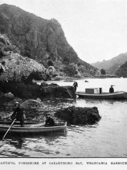 Part of the beautiful foreshore at Oakahumoko Bay, Whangaroa Harbour.- Otago Witness, 25.8.1915.