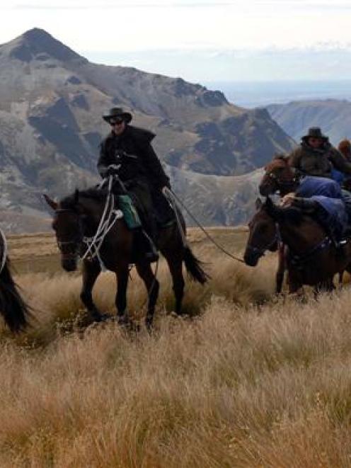 Participants on the Otago Cavalcade pack-horse traverse make their way up Mt Kyeburn in strong...