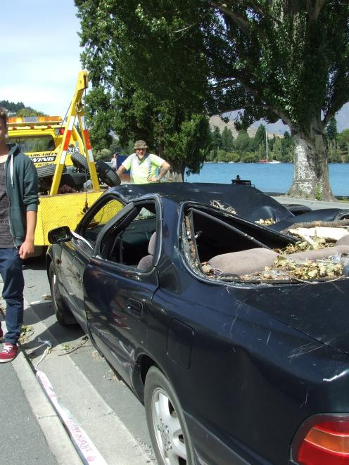 Paul Zeller and Nico Reiner's car was crushed by a poplar. Photo by Christina McDonald