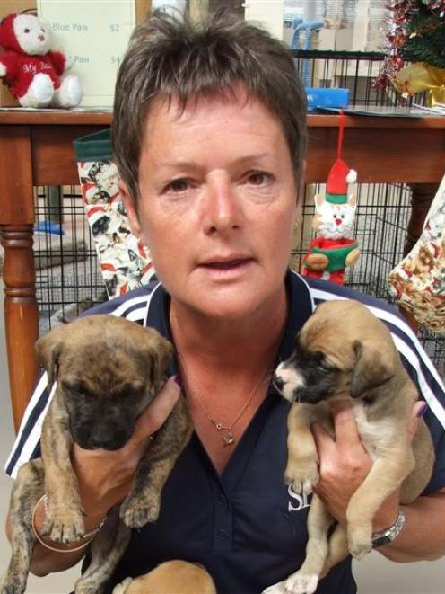 PCA inspector Helen Saunders with two of the puppies.