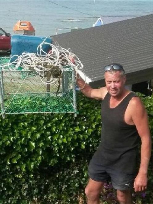 Peter Lungley holds up the crayfish pot from Stewart Island he recovered at Kaik 2, Moeraki....