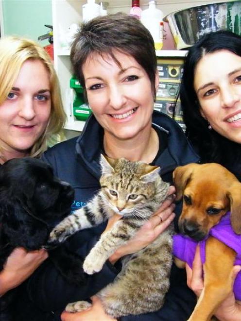Pets n vets 2025 queens park