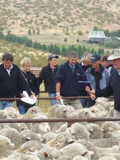 PGG Wrightson auctioneer Glenn Hopkinson (right, see full-sized picture) appeals for bids on a...