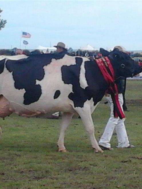 Philippa Trounce, of Rakaia leads  Fairview Dolman Jazz, this year's Canterbury A&P Show's...