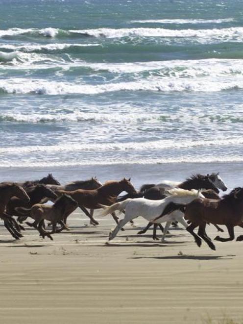 Photo by The New Zealand Herald.