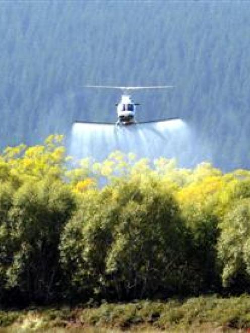 Pilot David Gale sprays invasive weed plants growing in the Sinclair Wetlands yesterday. Photo by...