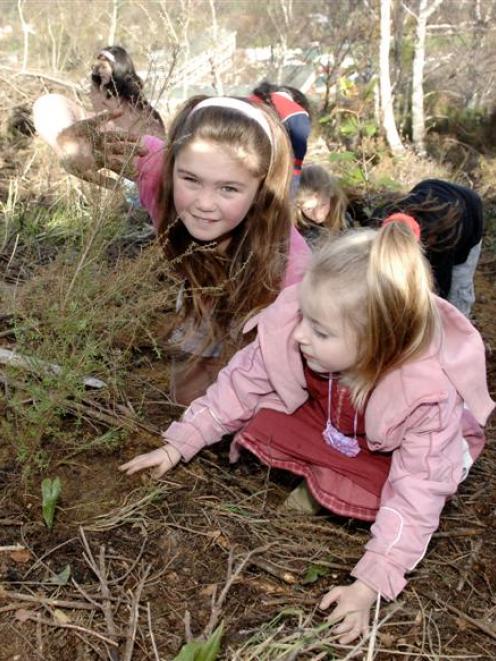 Pine Hill School pupils Jasmine Mumford (10), left, and Holly Bliss (5) plant native shrubs at...