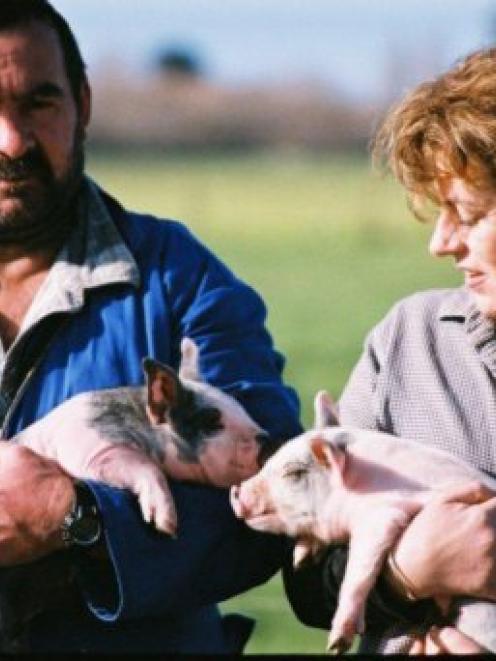 Pork industry farmers Gus and Sue Morton. Photo by Sally Rae.