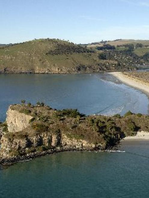Potato Point is the headland in the centre of this photograph. Photo ODT Files