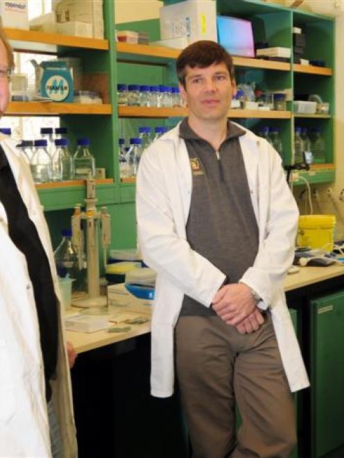 Prof Dave Grattan (left), Dr Colin Brown and Dr Victoria Scott, of the University of Otago Centre...