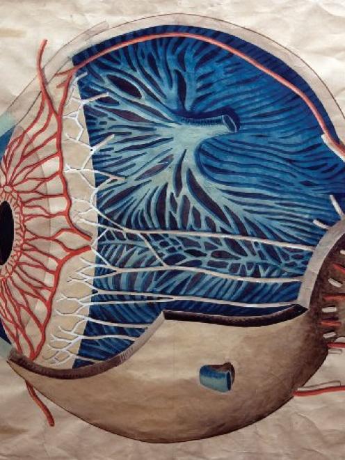 Prof. J. H. Scott, internal view of eye c.1890. Department of anatomy and structural biology...