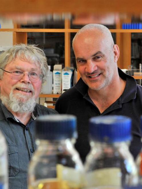 Prof Warren Tate and PhD student Angus Mackay, of the University of Otago biochemistry department...